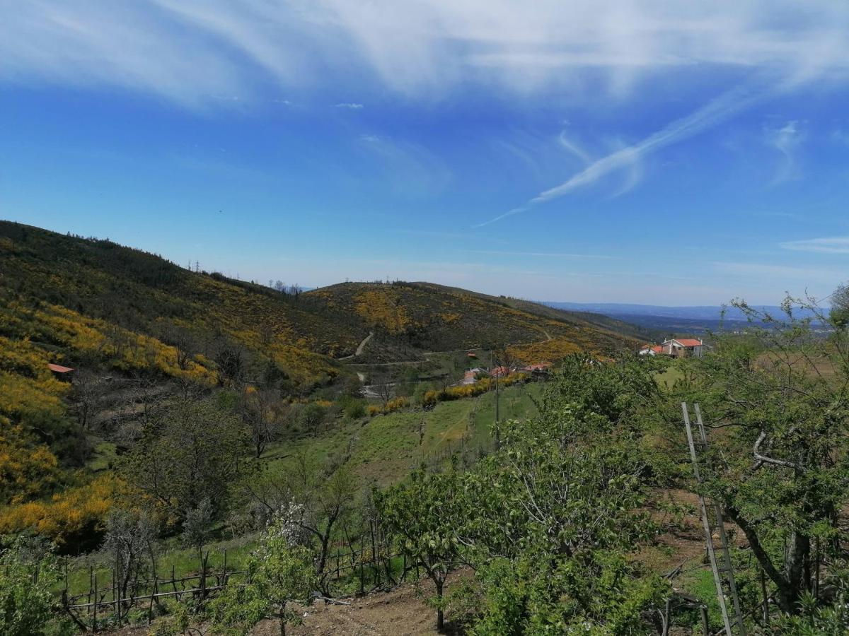Casinha Da Deolinda Villa Aldeia das Dez Dış mekan fotoğraf